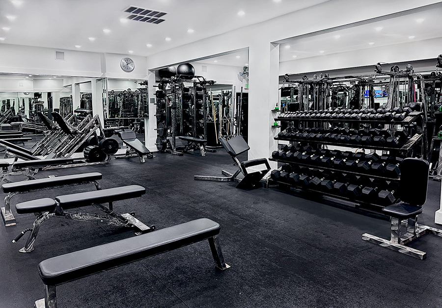 FDS Main Room2