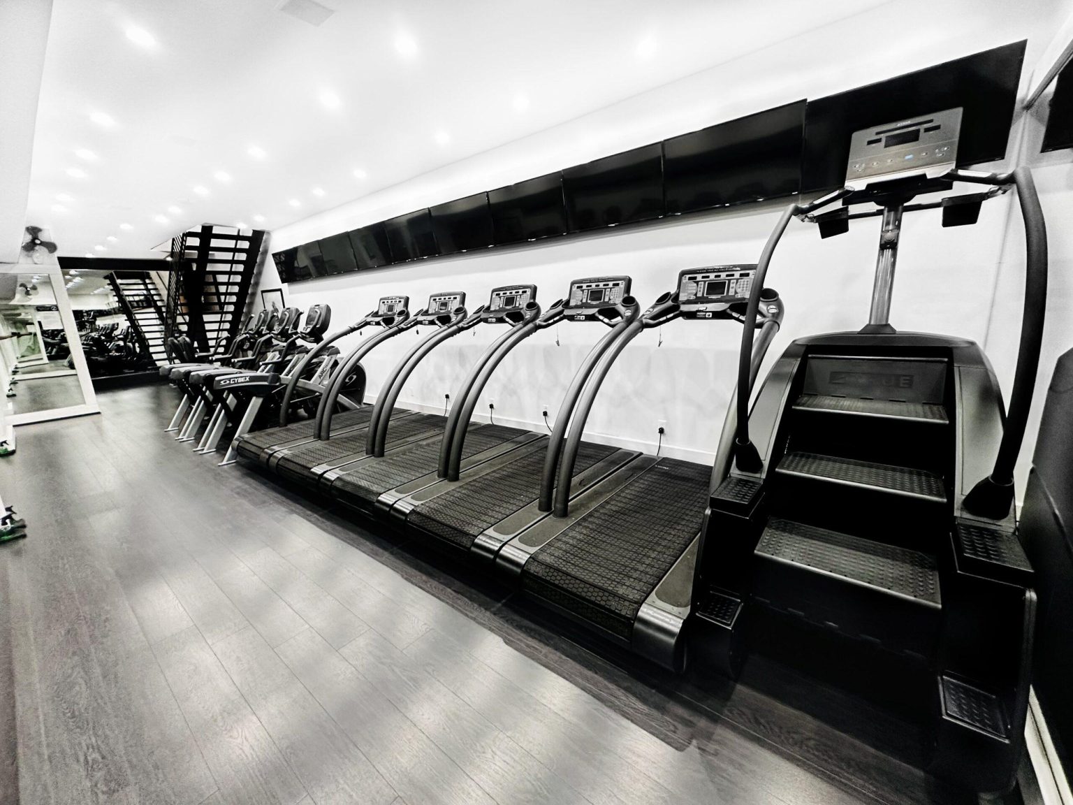 luxury-private-fitness-gym-fedele-de-santis-1536x1152-cardioroom2